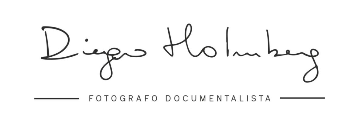 diegoholmberg.com Logo
